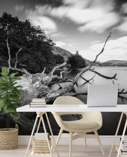 Décoration murale avec vue sur le lac, noir et blanc