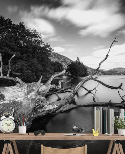 Décoration murale avec vue sur le lac, noir et blanc