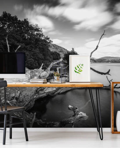 Svart och vitt sjöutsikt väggmålning Svart och vitt sjöutsikt väggmålning