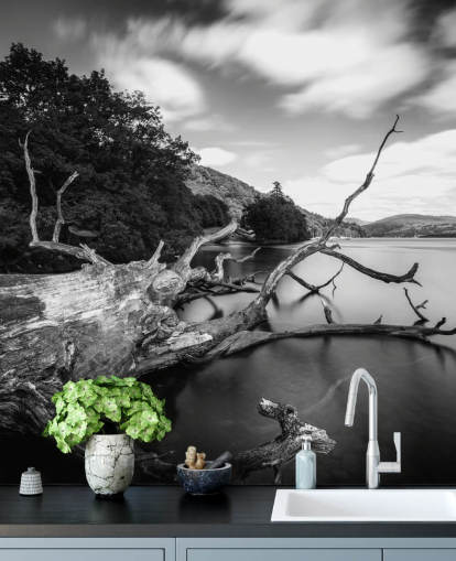 Mural preto e branco com vista para o lago