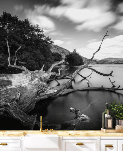 Mural de pared Vistas al lago en blanco y negro