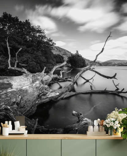 Decorazione murale con vista lago in bianco e nero