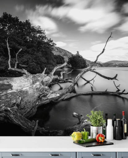 Mural de pared Vistas al lago en blanco y negro