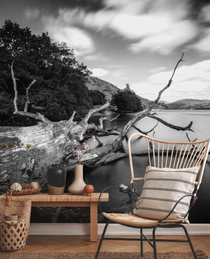 Décoration murale avec vue sur le lac, noir et blanc