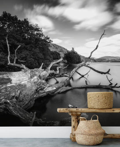 Black and White Lake View Wall Mural