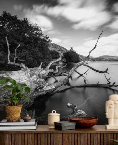 Mural de pared Vistas al lago en blanco y negro