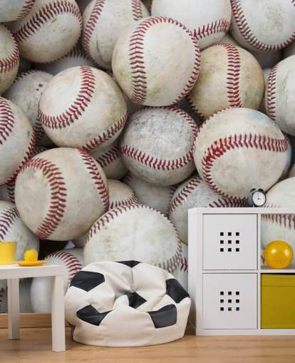 Baseball Party Wall Mural