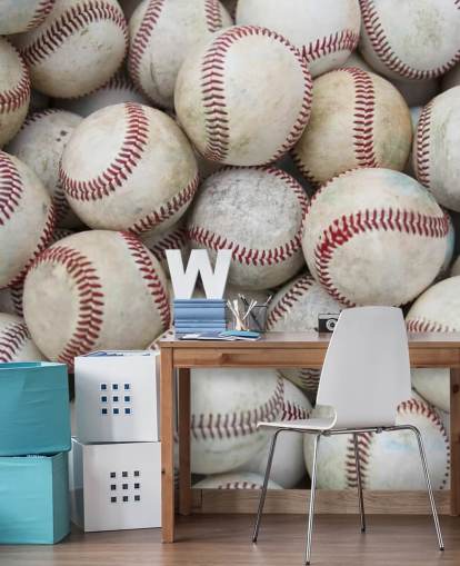Baseball Party Wall Mural