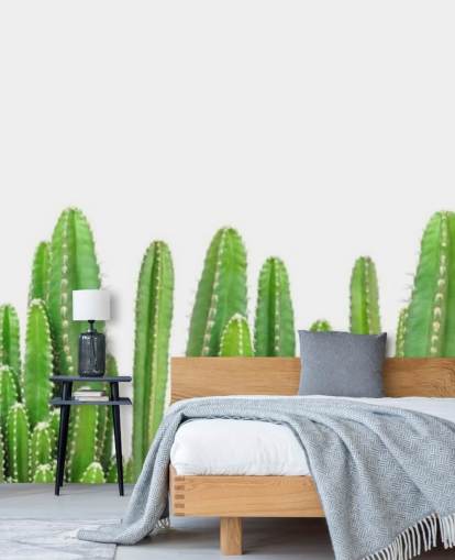 green cacti on white background wallpaper green cacti on white background wallpaper