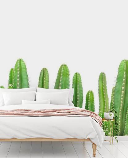 papel pintado cactus verdes sobre fondo blanco papel pintado cactus verdes sobre fondo blanco