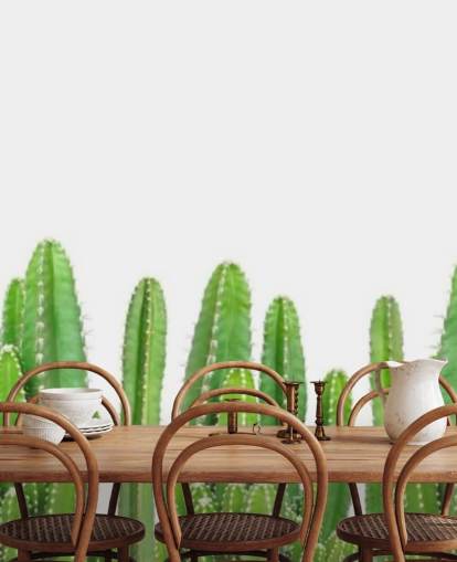 papel pintado cactus verdes sobre fondo blanco