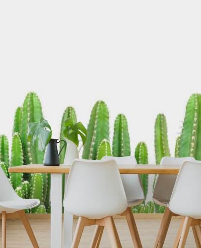 groene cactussen op wit achtergrondbehang