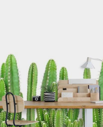 green cacti on white background wallpaper