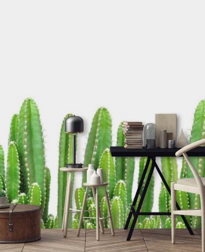 green cacti on white background wallpaper