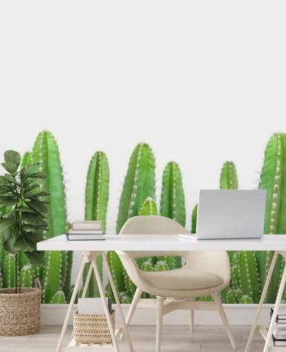 green cacti on white background wallpaper