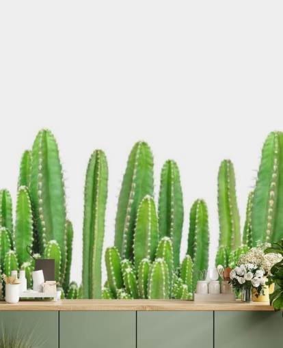 groene cactussen op wit achtergrondbehang