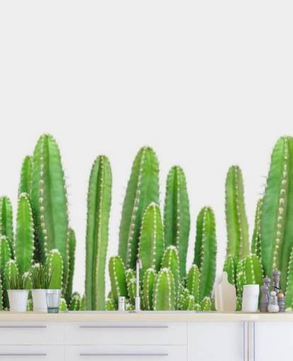 cactus verde su sfondo bianco