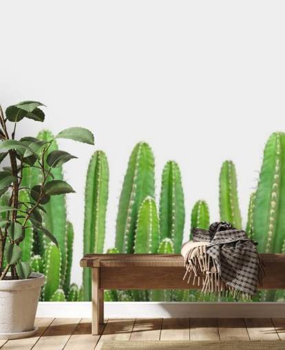 green cacti on white background wallpaper green cacti on white background wallpaper