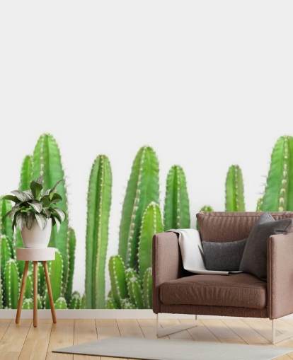 cactus verde su sfondo bianco