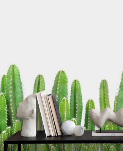 cactus verde su sfondo bianco