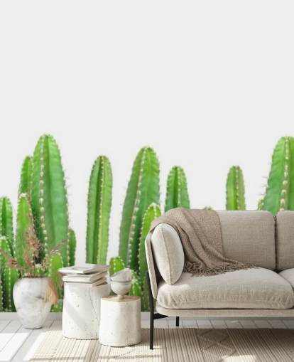 papel pintado cactus verdes sobre fondo blanco