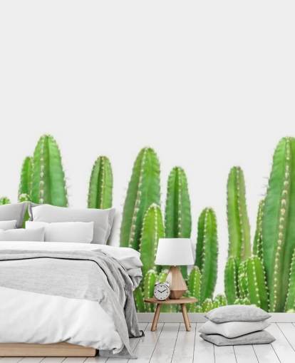 green cacti on white background wallpaper