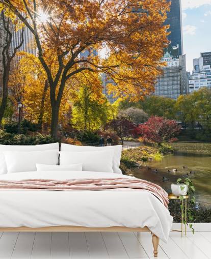 Carta da parati Sentiero attraverso Central Park in autunno Carta da parati Sentiero attraverso Central Park in autunno