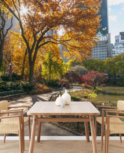 Pathway Through Central Park in Autumn Wallpaper