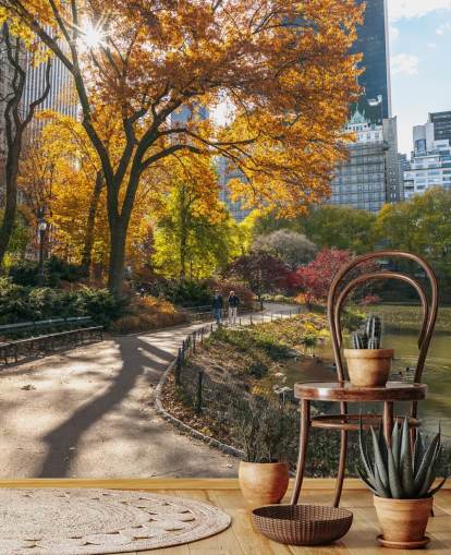Pathway Through Central Park in Autumn Wallpaper