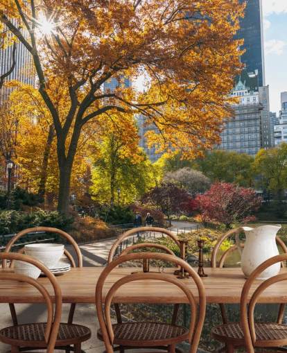 Pathway Through Central Park in Autumn Wallpaper