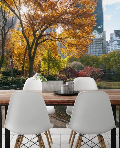 Pathway Through Central Park in Autumn Wallpaper Pathway Through Central Park in Autumn Wallpaper