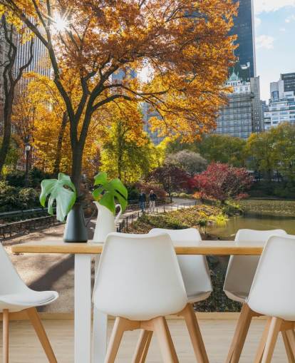 Pathway Through Central Park in Autumn Wallpaper Pathway Through Central Park in Autumn Wallpaper