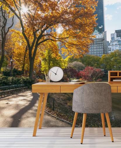 Carta da parati Sentiero attraverso Central Park in autunno