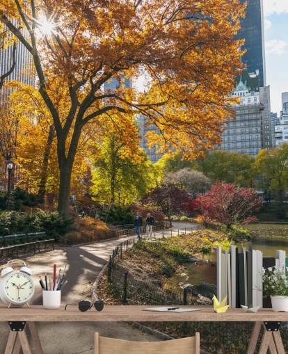 Carta da parati Sentiero attraverso Central Park in autunno