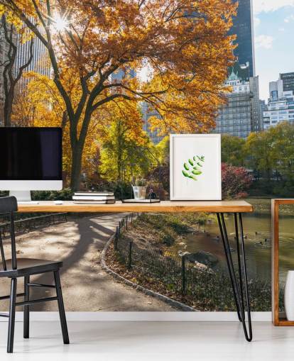 Fondo de pantalla Camino a través de Central Park en otoño