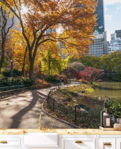 Pathway Through Central Park in Autumn Wallpaper