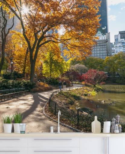 Pathway Through Central Park in Autumn Wallpaper