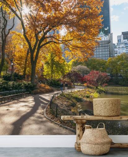 Pathway Through Central Park in Autumn Wallpaper