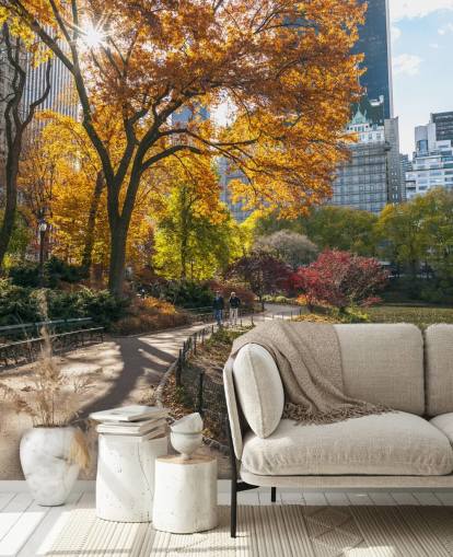 Pathway Through Central Park in Autumn Wallpaper