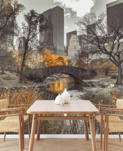 Water Stream at Central Park Wall Mural