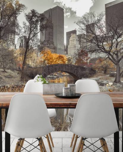 Vannstrøm på Central Park Wall Mural