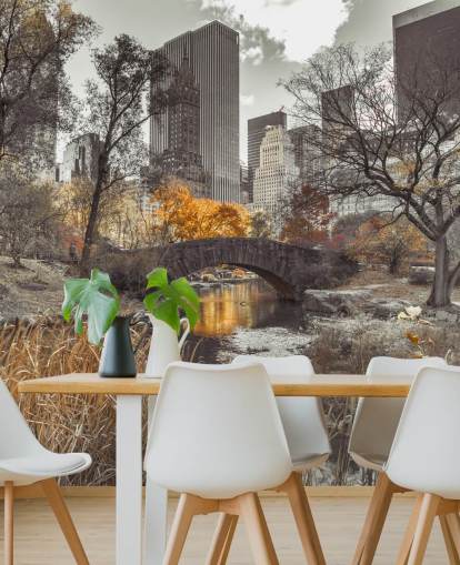 Water Stream at Central Park Wall Mural