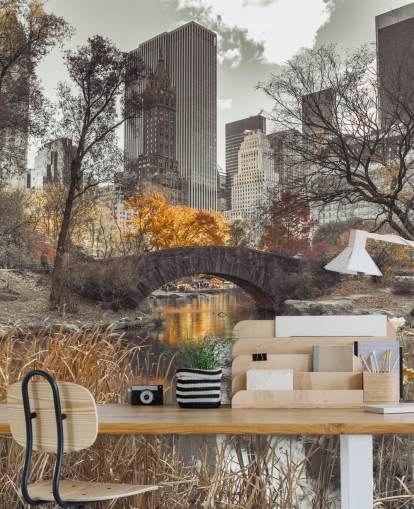 Waterstroom bij Central Park Wall Mural