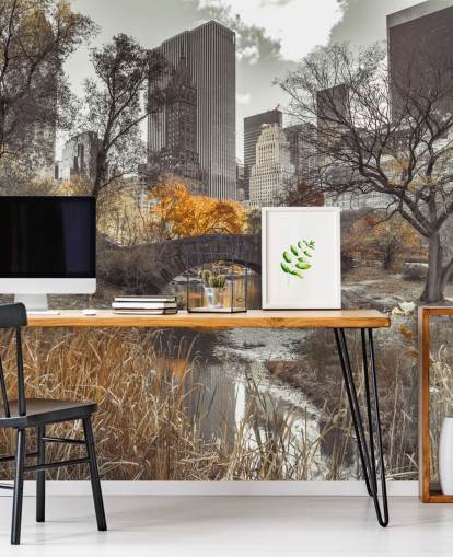 Vannstrøm på Central Park Wall Mural