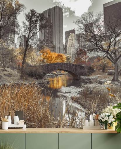 Water Stream at Central Park Wall Mural Water Stream at Central Park Wall Mural