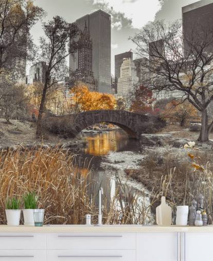 Waterstroom bij Central Park Wall Mural