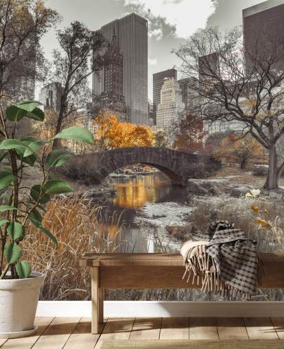 Water Stream at Central Park Wall Mural