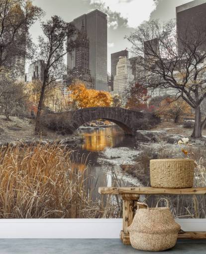 Waterstroom bij Central Park Wall Mural