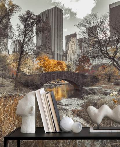 Water Stream at Central Park Wall Mural