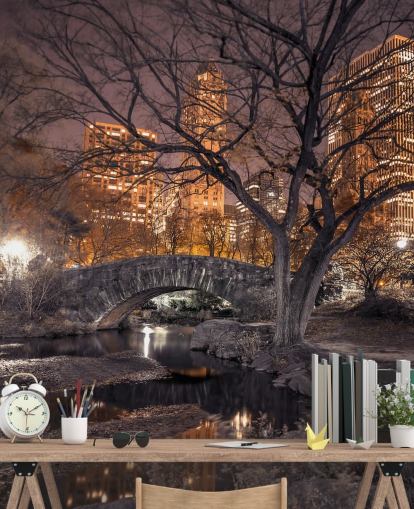 Central Park Stone Bridge Behang